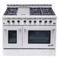 Entree 48 In. 7.2 Cu. Ft. Professional Style Gas Range with Convection Oven in Stainless Steel